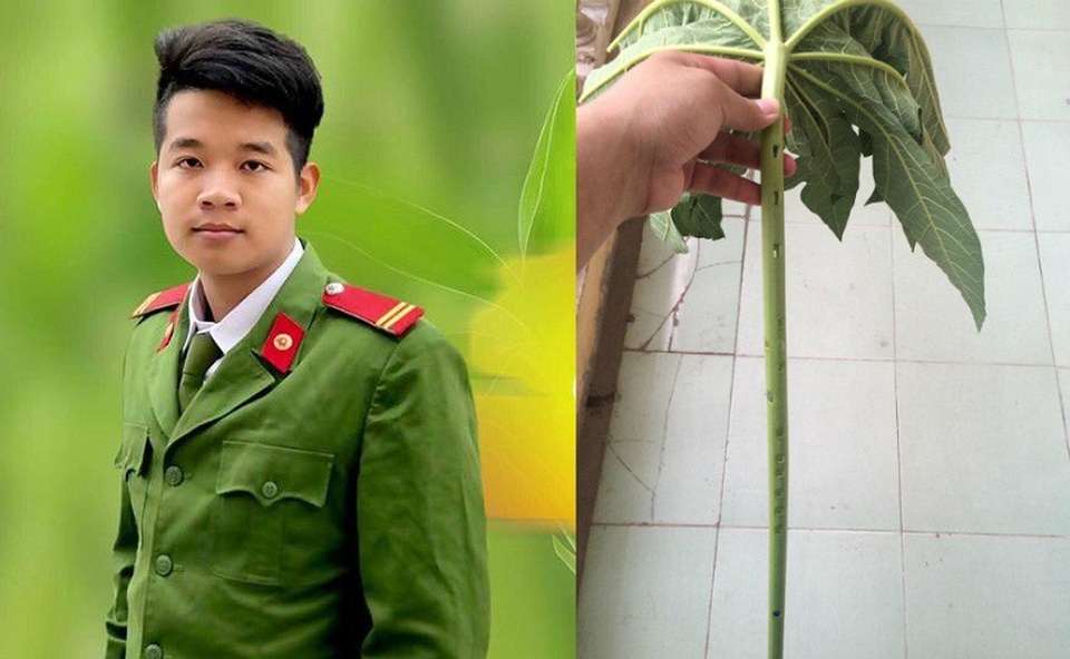 Biệt tài thổi sáo bằng cành cây đu đủ của chàng trai 9X - 1 Cây sáo từ lá cây đu đủ của Toàn