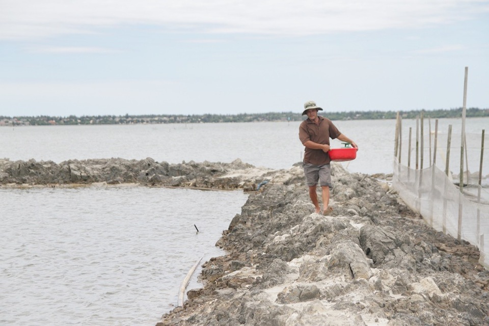 Chuyến thu hoạch thành công, trở về với 1 thùng hải sản các loại