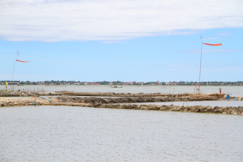 Các cây nêu treo cờ đỏ đánh dấu từng vùng đầm của mỗi hộ ngư dân