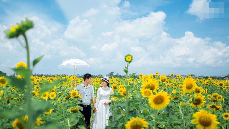 Rất nhiều đôi bạn trẻ cũng chọn nơi đây làm địa điểm chụp ảnh cưới, ghi lại khoảnh khắc đáng nhớ của cuộc đời.