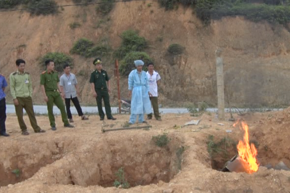 Lợn Trung Quốc tràn sang Việt Nam, cách quản lý đang “có vấn đề” - 1
Lực lượng chức năng đang tiêu hủy lợn nhập lậu từ Trung Quốc vào Việt Nam. Ảnh: Thu Hằng