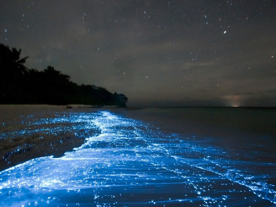 11 lý do nên đến Maldives càng sớm càng tốt - 3