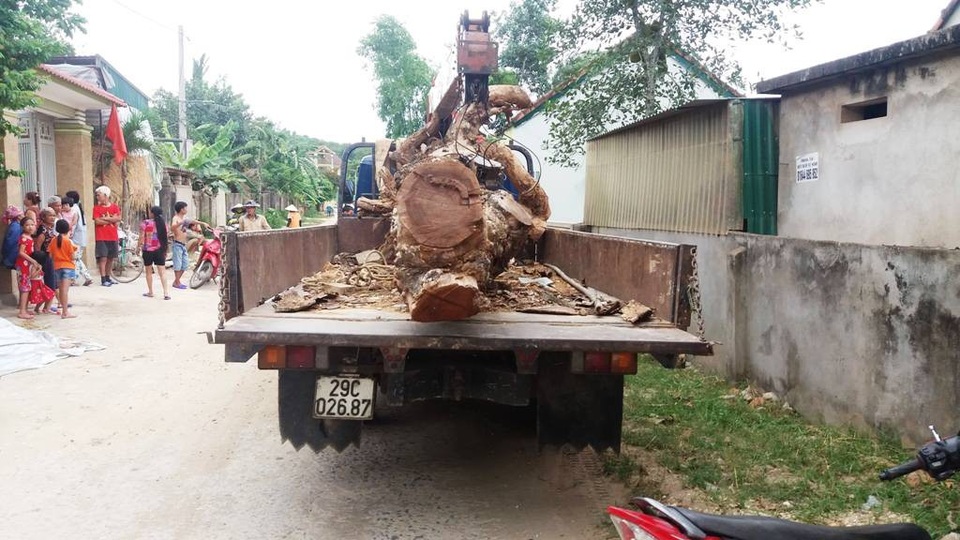 
Chiếc xe cẩu cây mít ra khỏi làng.
