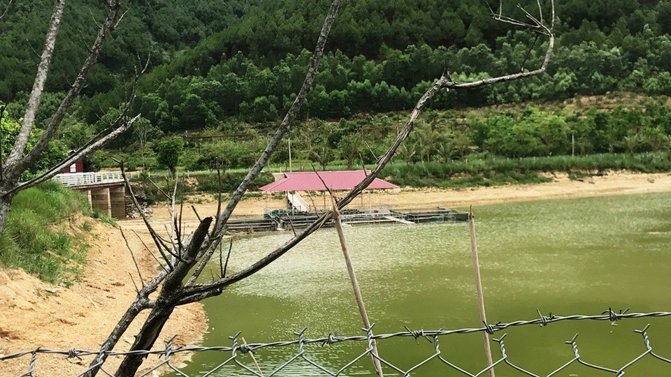 Khu du lịch sinh thái hành hạ người dân vì ô nhiễm môi trường! - 1 Nước hồ Khe Lau đã cạn và có nhiều loại cá chết do ô nhiễm.