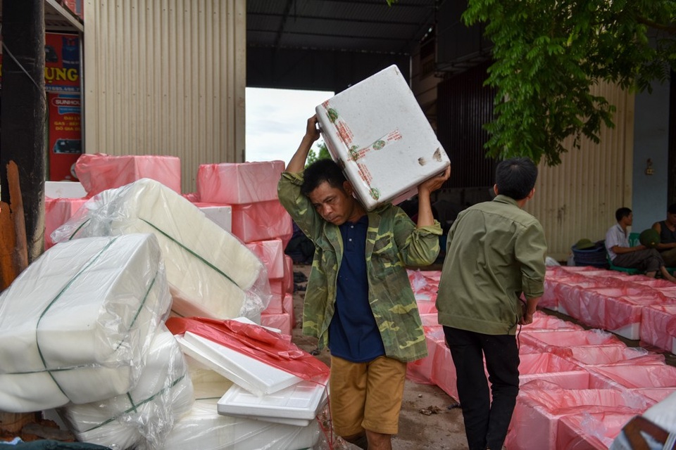 Xem quy trình ướp lạnh đặc sản vải Lục Ngạn - 14
Nhân công bốc vác làm việc liên tục trong mùa thu hoạch vải.