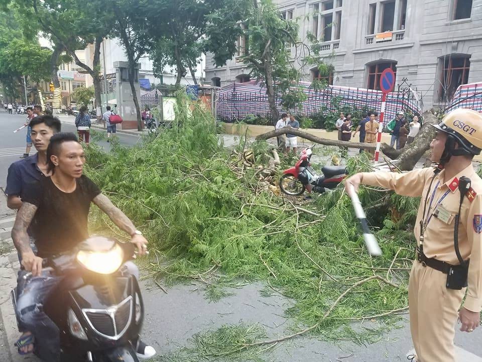 Hà Nội: Cây cổ thụ bật rễ, đè trúng 5 người trên phố Quán Sứ - 3 Ngay sau khi nhận được tin báo, lực lượng CSGT và lực lượng chức năng đã đến để phân luồng giao thông, giải quyết sự việc.