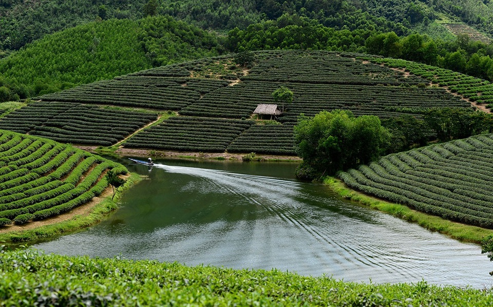"Check in" đồi chè đẹp như tranh vẽ - 9 Chiếc ghe nhỏ tạo sóng trên mặt hồ được bao quanh bởi các đồi chè.