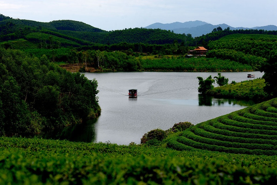 "Check in" đồi chè đẹp như tranh vẽ - 7 Cảnh đẹp như tranh vẽ ở đồi chè Thanh Chương.