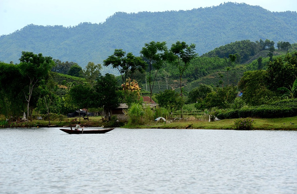 "Check in" đồi chè đẹp như tranh vẽ - 3 Những đồi chè được bao quanh bởi hồ nước lớn. Du khách di chuyển bằng thuyền được nhìn ngắm nước non, núi rừng