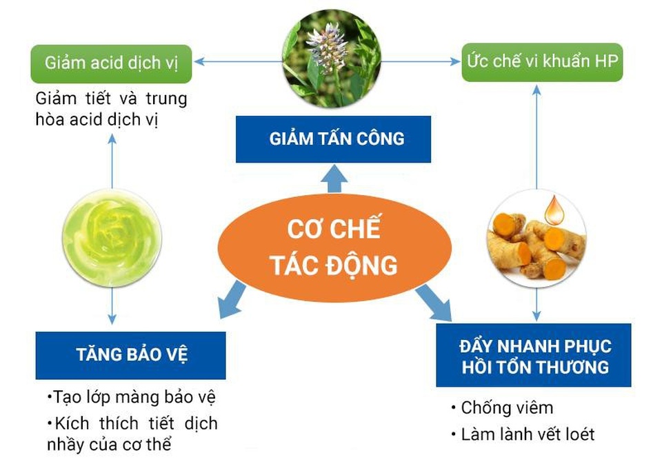 Thuốc trị đau dạ dày: Hiểu đúng để dùng đúng - 1 Thuốc trị đau dạ dày: Hiểu đúng để dùng đúng - 1