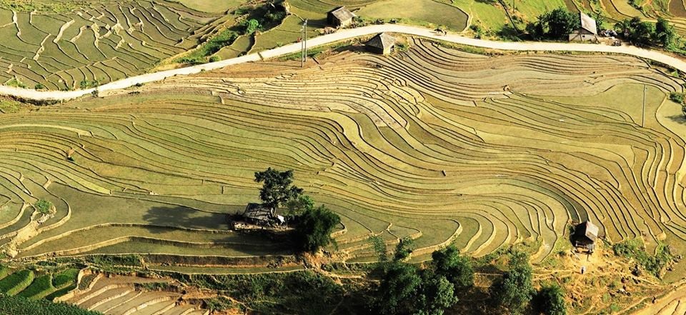 "Phượt" mùa nước đổ ruộng bậc thang... - 2 Ruộng bậc thang.