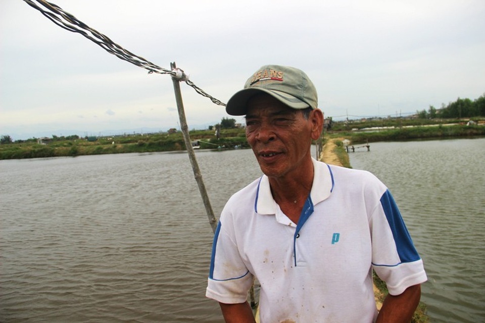Chưa hết nỗi lo dịch bệnh, người nuôi tôm ngậm ngùi vì rớt giá thê thảm! - 4 Theo ông Nguyễn Thành Minh, hiện giá tôm đang thấp nên nhiều hộ không dám bán vì lo lỗ vốn