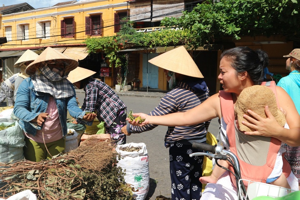 Nhộn nhịp vào vụ lá mùng Năm - 6 Chị Năm cũng cho biết, tục đi hái lá mùng Năm không biết có từ bao giờ, chỉ biết rằng theo quan niệm dân gian, vào đúng giờ ngọ (12 giờ trưa) ngày mùng Năm tháng 5 Âm lịch, mang những loại lá đã hái ra phơi khô, rồi dùng để nấu nước uống hằng ngày, vừa ngon, thanh mát lại có tác dụng chữa được nhiều bệnh, nên nhiều người tìm mua. “Phải là người am hiểu các loại lá cây, bài thuốc nam mới có thể đi hái, phân biệt vị, mùi thuốc chứ không phải ai cũng hái được. Nếu chẳng may hái nhầm những loại cây có độc thì rất nguy hiểm, ảnh hưởng đến sức khỏe của nhiều người” – chị Năm chia sẻ