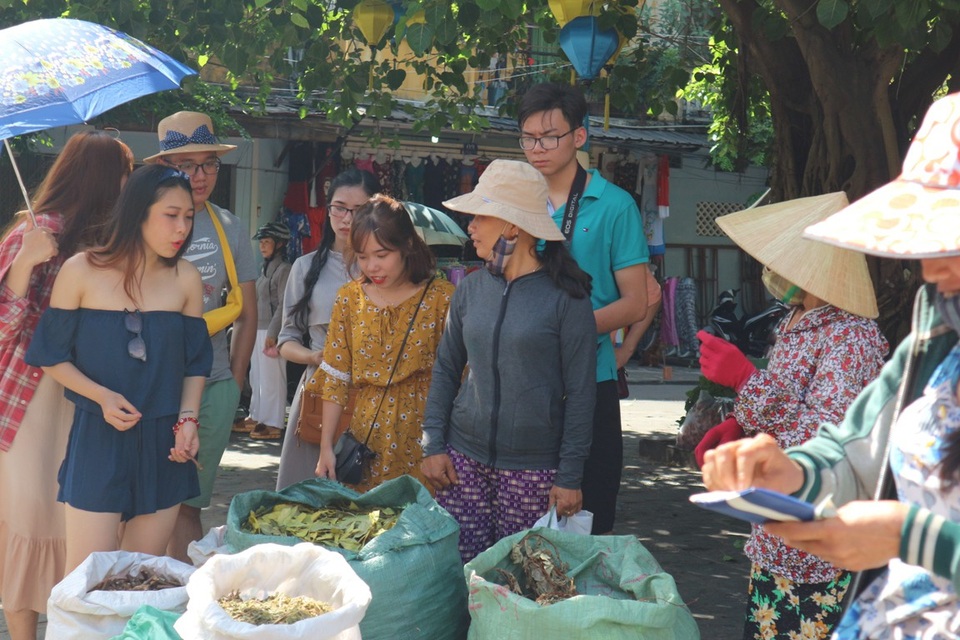 Nhộn nhịp vào vụ lá mùng Năm - 9 Nhiều bạn trẻ đến Hội An du lịch cũng khá tò mò với các loại lá được bày bán tại đây. Bạn Mai Hương chia sẻ, mình thấy các loại lá rất thơm và đặc biệt, các cô cho biết các loại này có thể làm thuốc trị đau nhức, mỏi lưng… thật đặc biệt