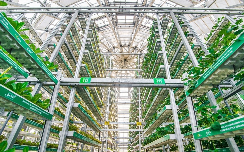 “Hành trình tương lai xanh” cùng VinMart & VinMart+ - 3 Công nghệ canh tác giá thể nhiều tầng Skygreen (Singapore) tại nông trường VinEco Nam Hội An