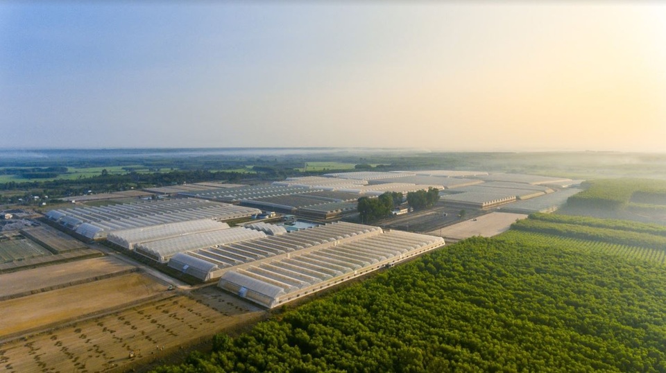 “Hành trình tương lai xanh” cùng VinMart & VinMart+ - 2 Công ty VinEco đang vận hành 15 nông trường công nghệ cao quy mô lớn trên cả nước.