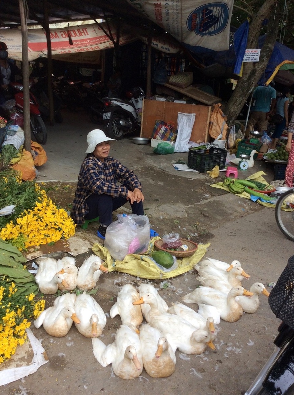 Người Huế ăn gì trong ngày Tết Đoan Ngọ? - 1 Vịt được bán rất nhiều tại các chợ ở Huế vào dịp Tết Đoan Ngọ