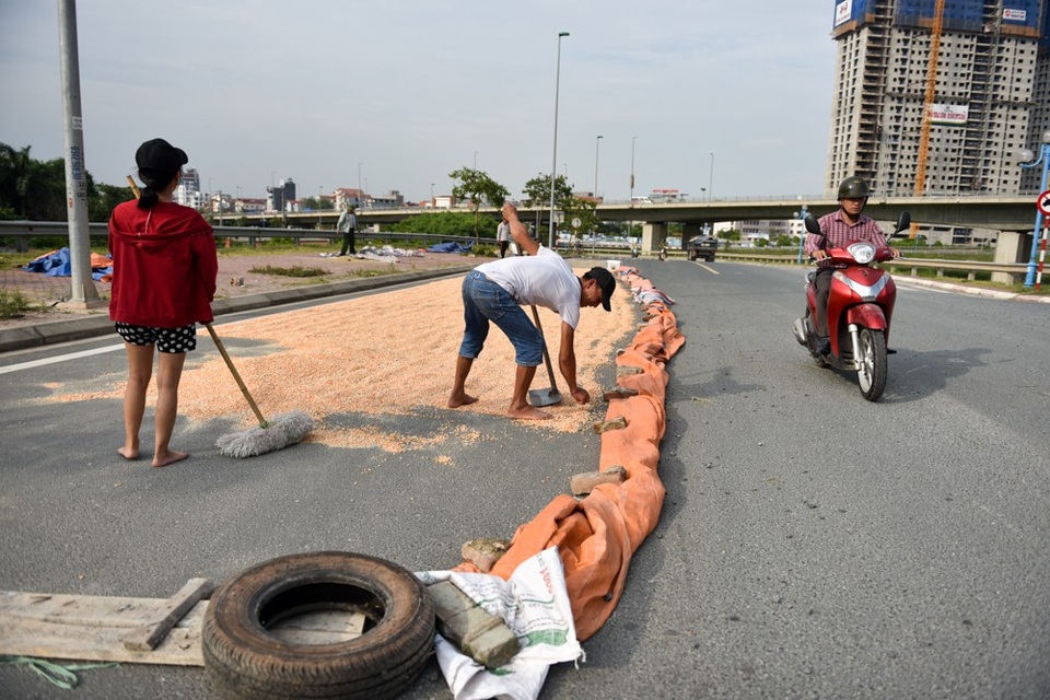 Người dân phơi thóc chiếm gần hết đoạn đường ở Hà Nội - 10 Người dân phơi thóc chiếm gần hết đoạn đường ở Hà Nội - 10