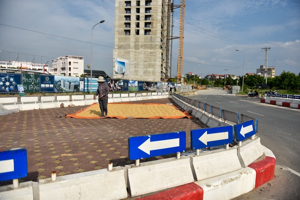 Người dân phơi thóc chiếm gần hết đoạn đường ở Hà Nội - 7
Các bùng binh cũng được tận dụng để làm chỗ phơi nông sản.