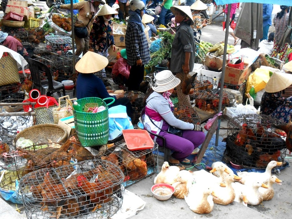 Trái cây, bánh ú, lá mùng 5... hút hàng Tết Đoan Ngọ - 5 Giá cả các mặt hàng gà, vịt, thịt heo… cũng tăng giá nhẹ hoặc ổn định