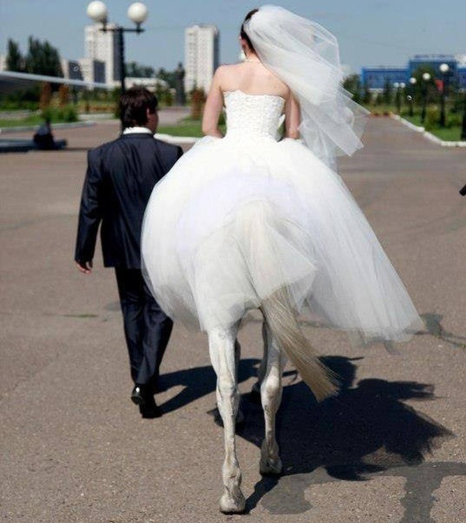 Lễ cưới giữa người và... nhân mã.