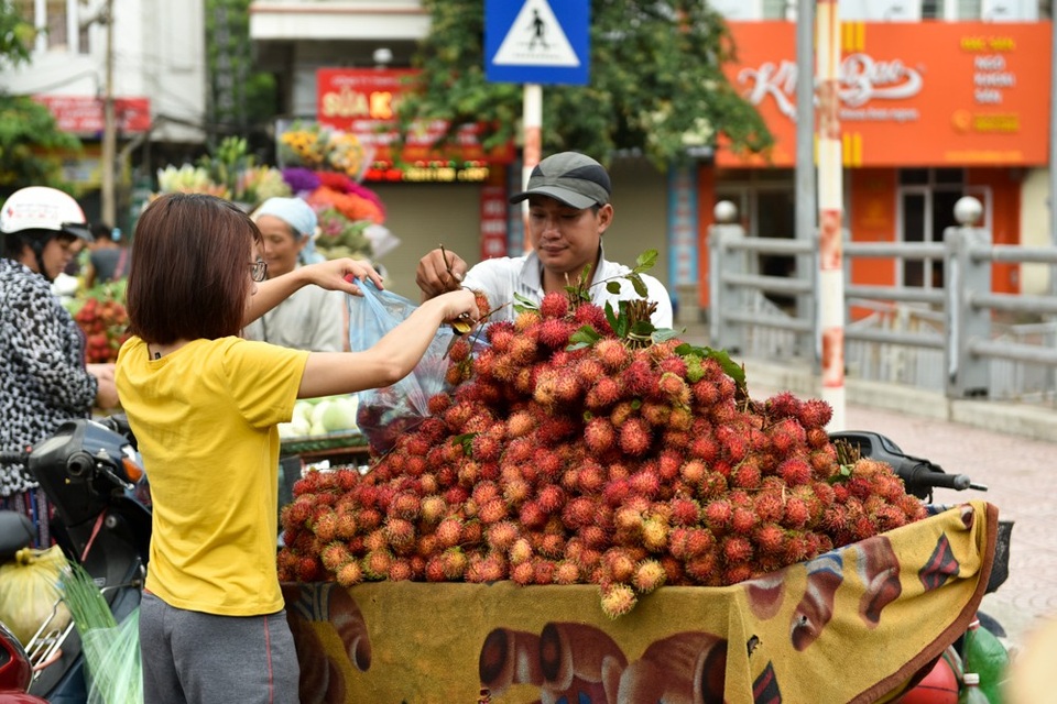 Rượu nếp, hoa quả đắt hàng ngày Tết Đoan Ngọ - 8
Hàng rong bán chôm chôm liên tục có khách mua từ sáng sớm.