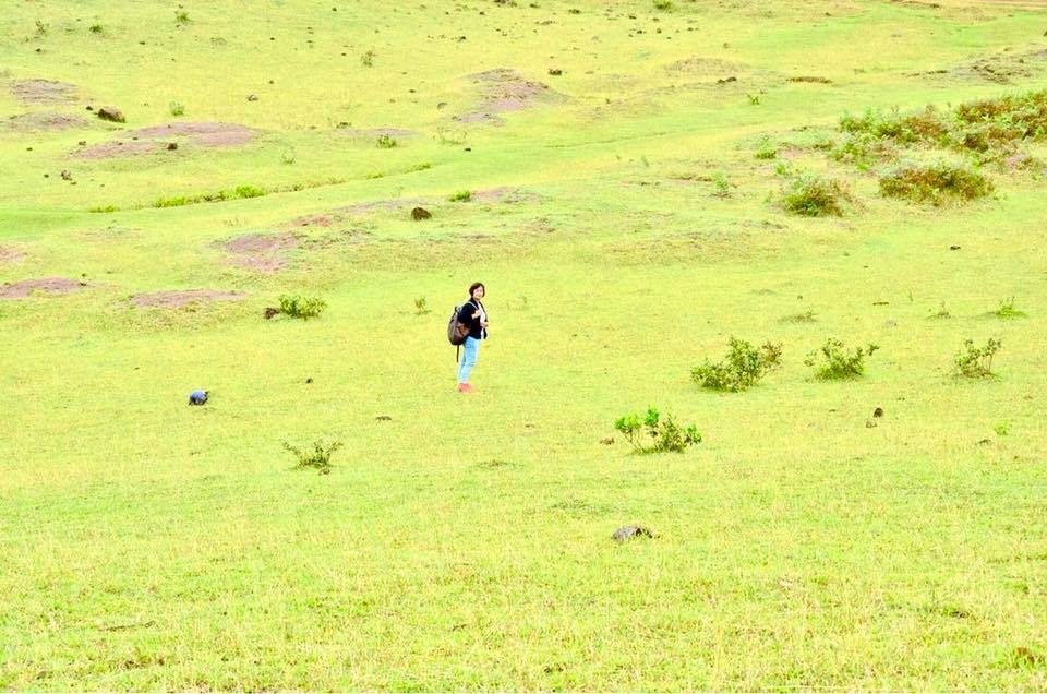 Ngoài đồi sim, thảo nguyên Bùi Hui còn có những đồi cỏ tuyệt đẹp cùng với khí hậu mát mẻ quanh năm. Đây là điểm đến yêu thích của nhiều bạn trẻ ở Quảng Ngãi trong những ngày hè