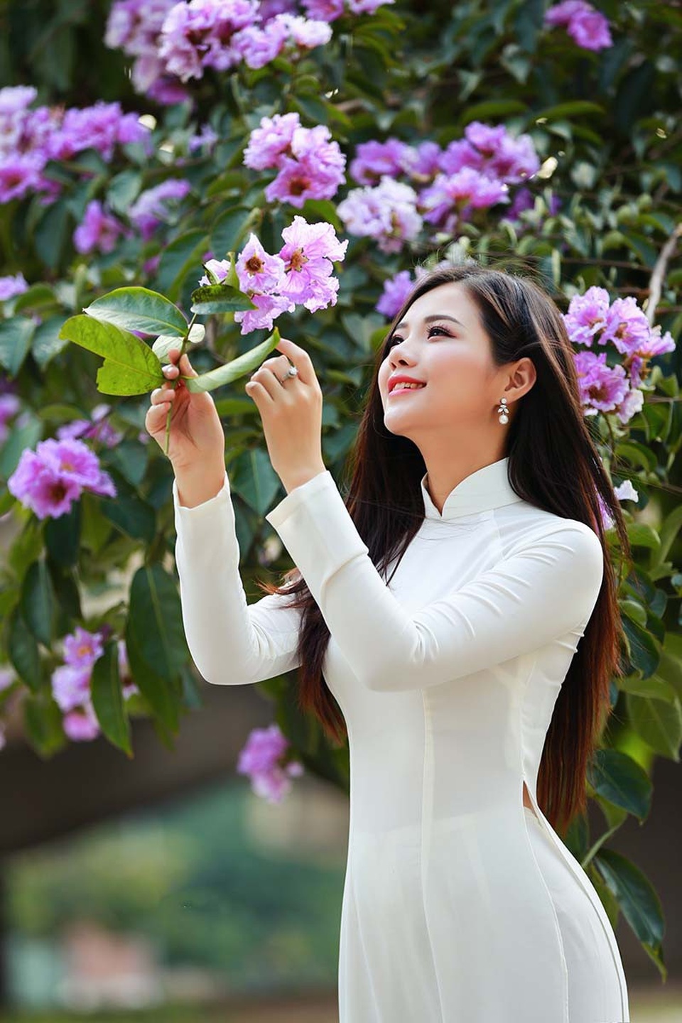 Thiếu nữ Hà thành đẹp dịu dàng bên hoa bằng lăng - 8 Thiếu nữ Hà thành đẹp dịu dàng bên hoa bằng lăng - 8