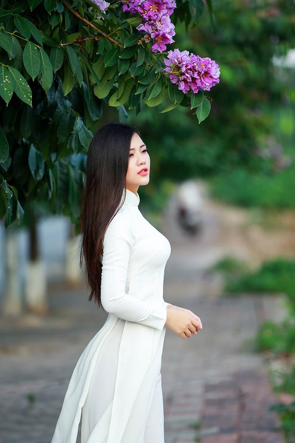 Thiếu nữ Hà thành đẹp dịu dàng bên hoa bằng lăng - 6 Cùng ngắm nhìn một số hình ảnh khác của Lê Song Ngân.
