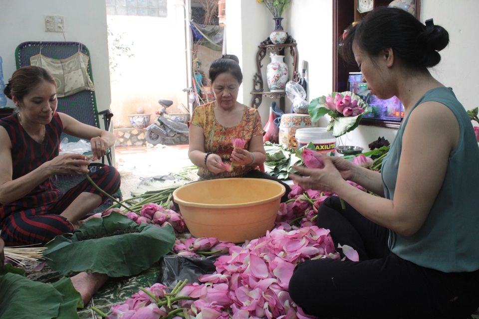 “Siêu phẩm” trà cổ làm từ 1000 bông sen, giá 7 triệu đồng ở Hà Nội có gì đặc biệt? - 12 Tuy giá cao nhưng do cách làm thủ công, tốn nhiều thời gian nên theo các nghệ nhân làm trà ở Hồ Tây, số lượng trà làm ra không nhiều, hầu hết chỉ đủ cung cấp cho người quen. Trung bình, mỗi mùa sen cơ sở sản xuất trà của bà Nguyễn Thị Dần đưa ra thị trường khoảng 20kg trà ướp truyền thống và gần 2 tạ trà ướp xổi.