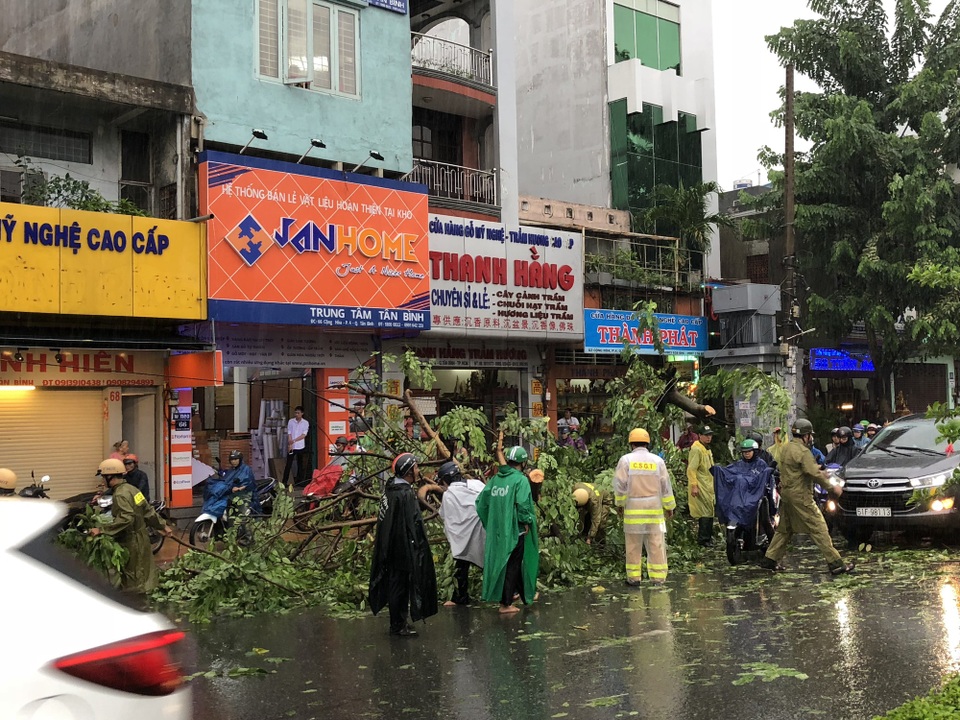 Cửa ngõ sân bay Tân Sơn Nhất rối loạn do ngập nước kết hợp với kẹt xe - 8 Một cây xanh bật gốc do mưa gió