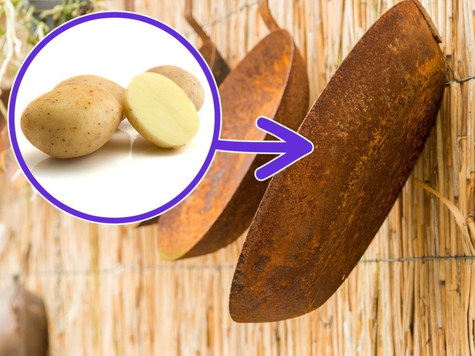 10 tác dụng tuyệt vời nhưng ít người biết của khoai tây - 1 10 tác dụng tuyệt vời nhưng ít người biết của khoai tây - 1