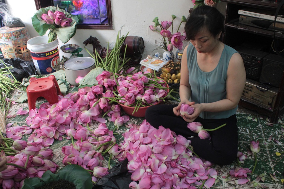 “Siêu phẩm” trà cổ làm từ 1000 bông sen, giá 7 triệu đồng ở Hà Nội có gì đặc biệt? - 6 Để làm được 1kg trà sen người nghệ nhân cần tới từ 1000-1200 bông sen. Trong đó, cứ một lượt gạo lại một lượt chè, ướp trà xong lại mang đi sấy khô, công đoạn này được làm lặp đi lặp lại tới 5-7 lần để sen ngấm vào vị trà mới cho ra được loại thức uống hảo hạng.