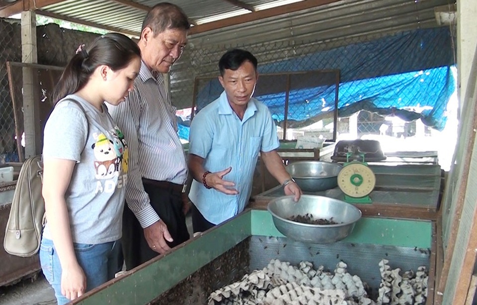 Lãi 100 triệu mỗi tháng nhờ gây dựng "đế chế dế" - 1 Anh Trương Thanh Dũng (phải) - chủ trang trại giới thiệu về kỹ thuật nuôi dế thương phẩm. Ảnh: Trúc Quỳnh (Báo Long An).