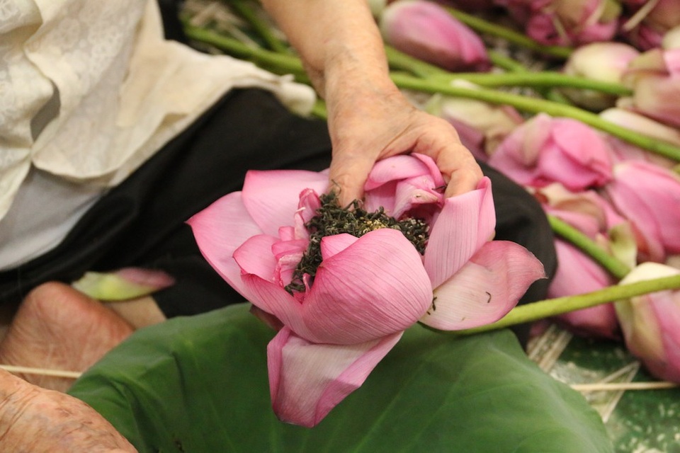 “Siêu phẩm” trà cổ làm từ 1000 bông sen, giá 7 triệu đồng ở Hà Nội có gì đặc biệt? - 8 Ngoài cách ướp chè sen theo cách truyền thống, bà Dần cho biết hiện còn có cách làm trà sen “xổi”. Cách ướp trà này đơn giản, không tốn công, giá thành lại rẻ tuy nhiên về hương vị không thể thơm ngon bằng cách ướp truyền thống.