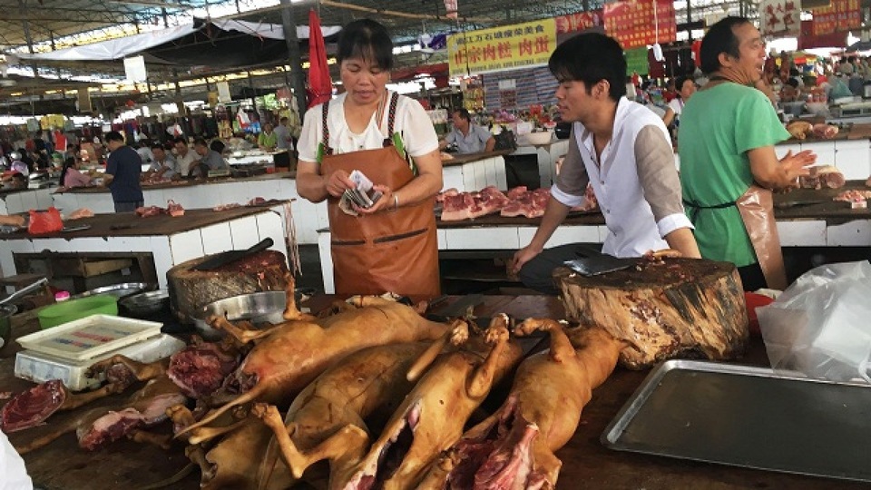 Bất chấp chỉ trích dữ dội, người dân vẫn quyết giữ phong tục ăn thịt chó - 5 Những sạp hàng bán thịt chó ở Ngọc Lâm hoạt động bình thường và sôi nổi trong mùa lễ hội năm nay