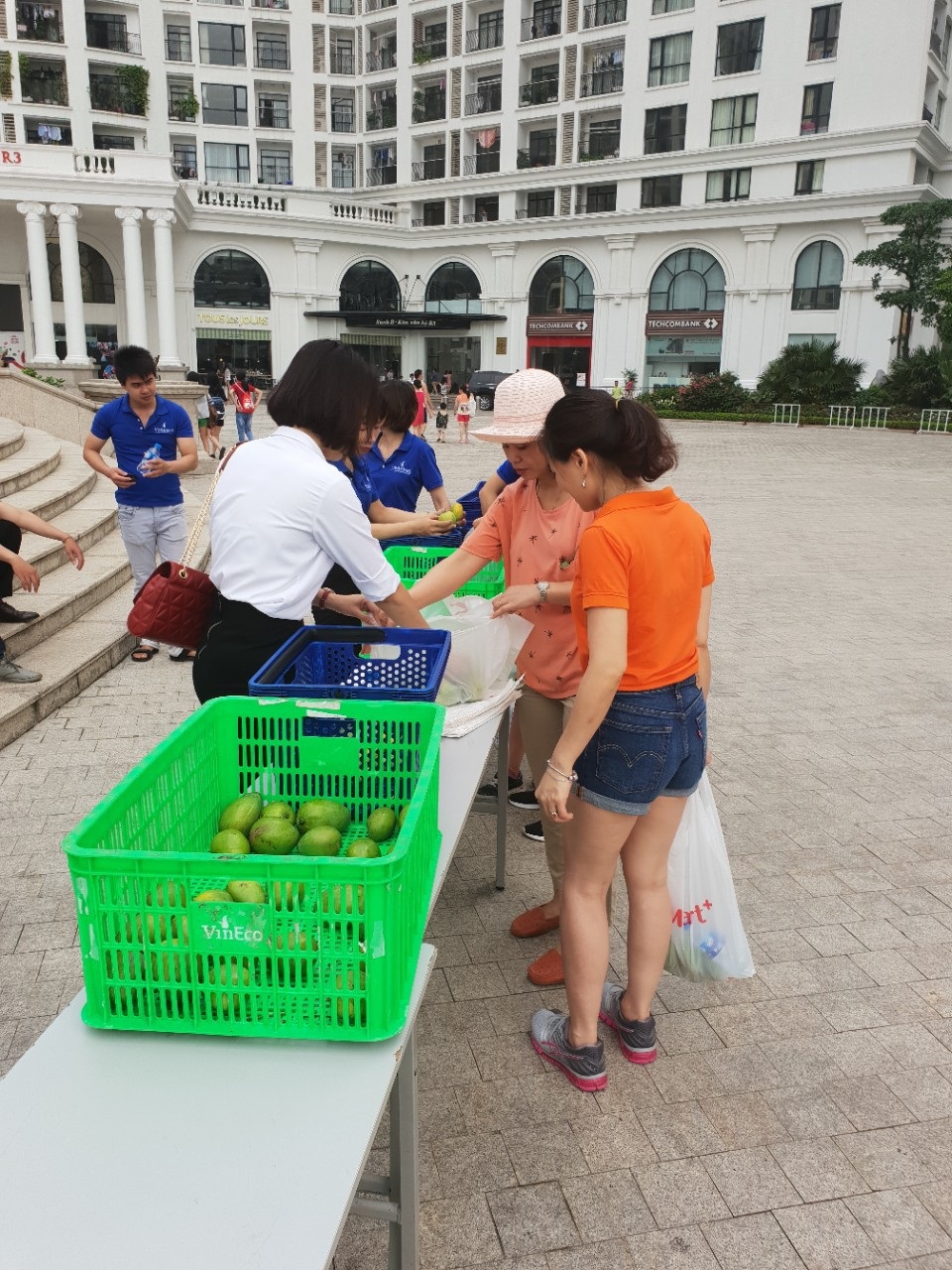 
Số xoài sau thu hoạch được chia đều cho các cư dân tham dự chương trình và chia về cho đại diện các tòa nhà trong Khu Đô thị, để mỗi nhà đều được nếm thử món quà từ “vườn nhà”.
