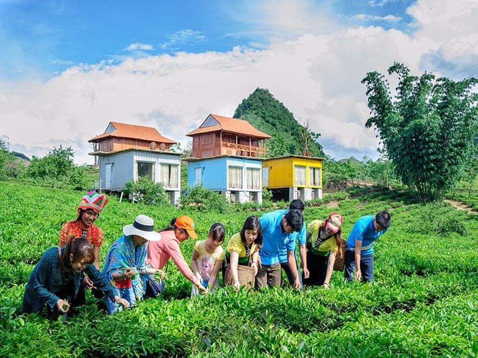 Để khách Tây cuốc đất, cho trâu đi bừa... hướng đi mới của ngành du lịch? - 2 Du lịch nông nghiệp thu hút du khách trong và ngoài nước