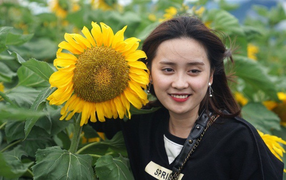 Giới trẻ đổ về Sa Pa chụp ảnh hoa hướng dương - 7 Giới trẻ đổ về Sa Pa chụp ảnh hoa hướng dương - 7