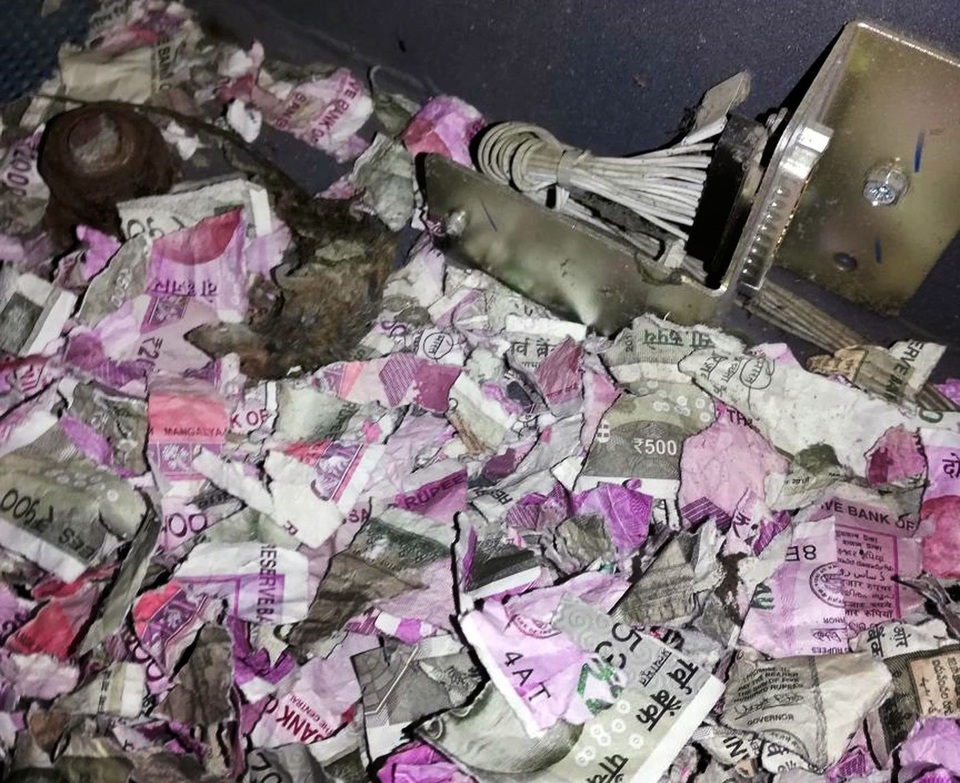 Hy hữu chuột chui vào máy ATM cắn nát 432 triệu đồng - 1 Con chuột chết sau khi ăn và cắn nát 432 triệu đồng. (Nguồn: AFP/Getty Images)