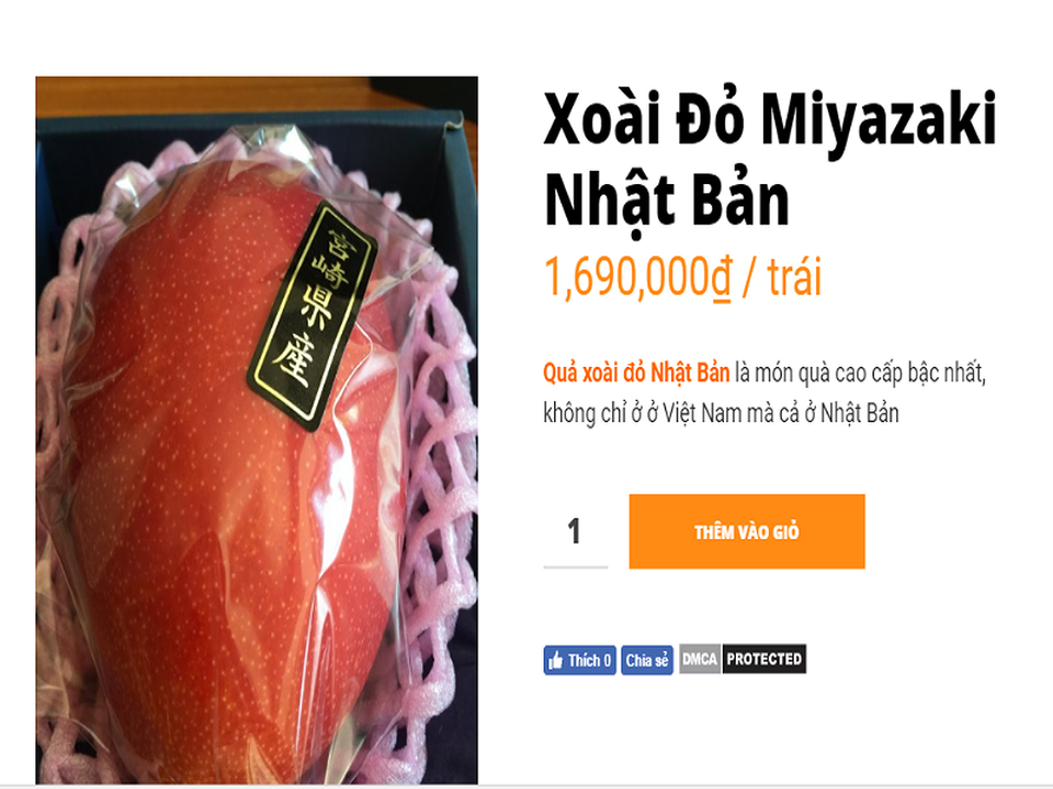 Giá xoài siêu đắt bán tại Việt Nam: 1,7 triệu đồng/trái - 1
Một quả xoài đỏ được rao bán với mức giá gần 1,7 triệu đồng/trái. Ảnh: Vinfruits