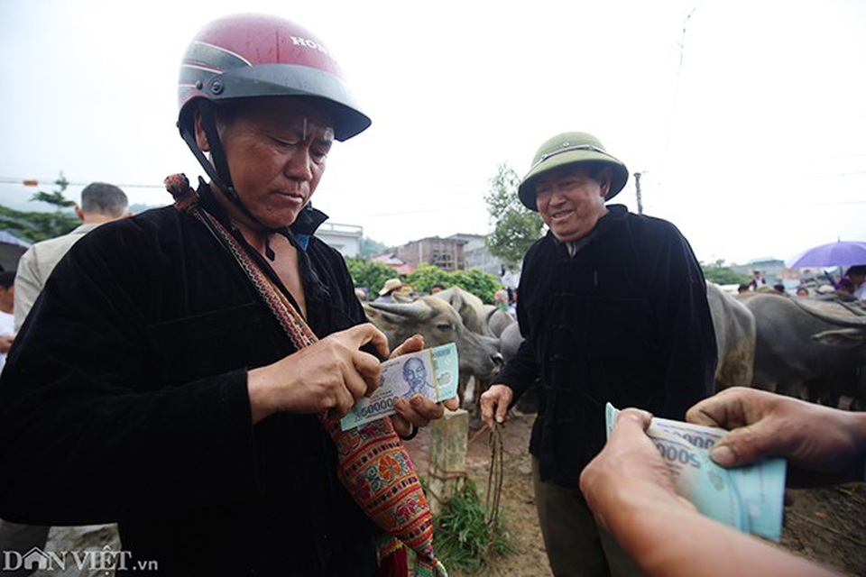 Sau khi ưng ý, việc mua bán trâu lại diễn ra khá nhanh qua hình thức giao dịch miệng.
