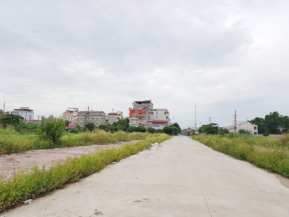 Hơn 20ha “đất vàng” bỏ hoang giữa thành phố Ninh Bình - 1 Khu đất vàng 28ha bỏ hoang giữa thành phố Ninh Bình gần chục năm qua.