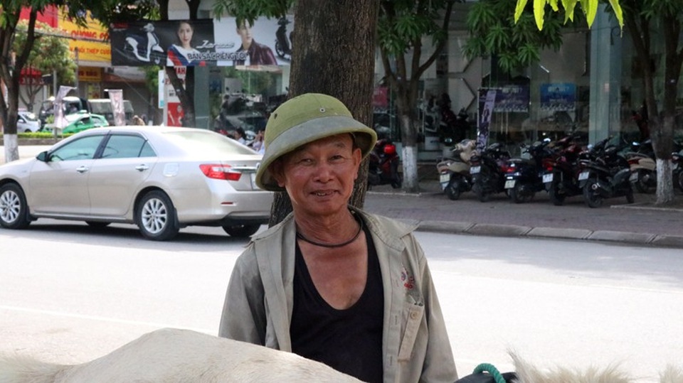 Ông lão U70 miệt mài 30 năm "bám ngựa" mưu sinh - 2 Suốt gần 30 năm gắn bó với con ngựa để mưu sinh, bác Dung đã trải qua nhiều chát mặt của nghề.