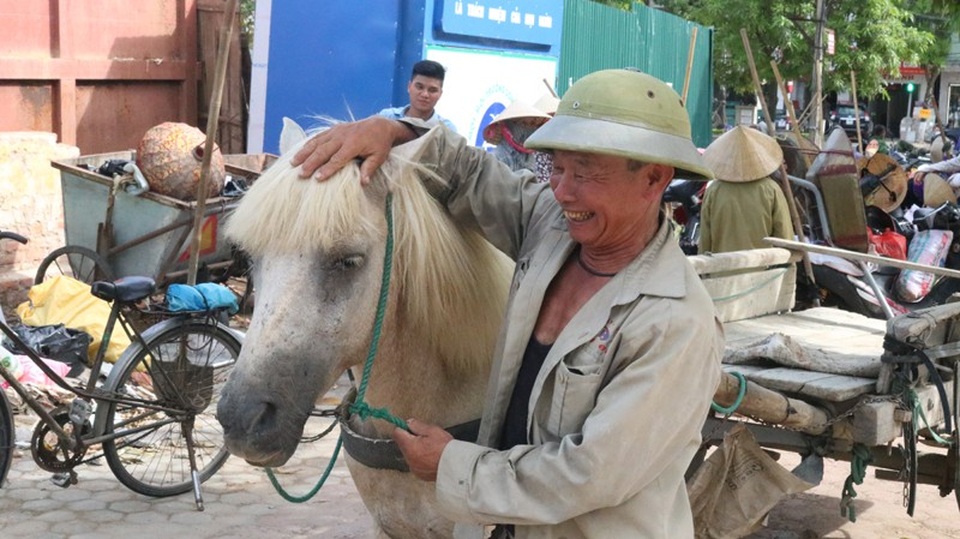 Ông lão U70 miệt mài 30 năm "bám ngựa" mưu sinh - 1 Bác Nguyễn Lưu Dung đã có ngót 30 năm gắn bó, mưu sinh với nghề đánh xe ngựa. Vất vả, nhọc nhằn, nhưng đổi lại nhờ cái nghề ấy mà bác đã có niềm vui lớn với gia đình.