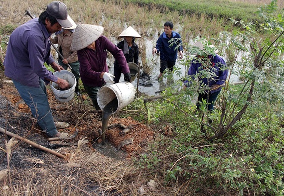 Rút giấy phép đăng ký sản phẩm thuốc diệt chuột sinh học Biorat - 1
Chưa có nhiều lựa chọn cho người dân trong việc tìm sản phẩm diệt chuột (Ảnh minh họa)