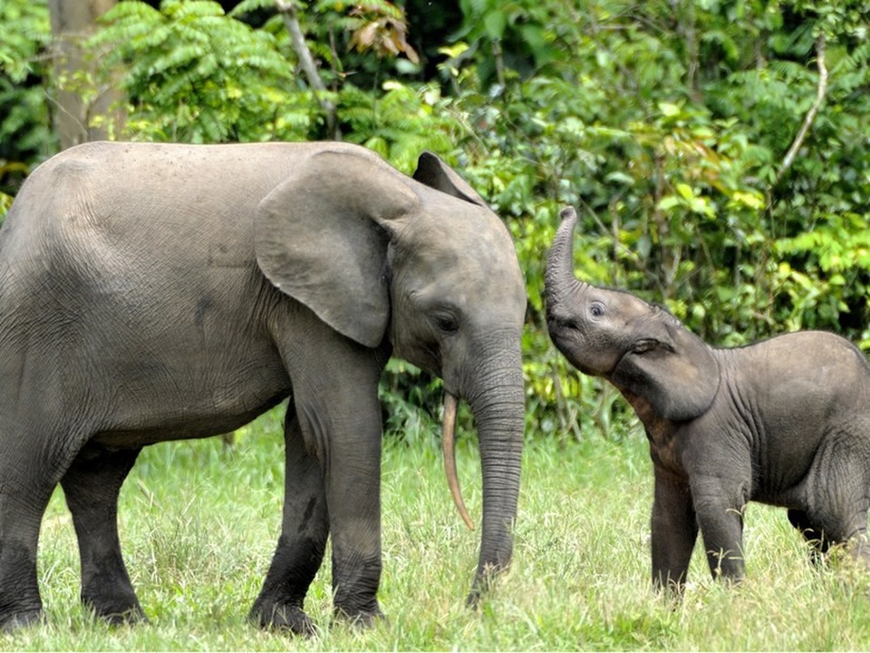 Những trải nghiệm không thể làm ngơ khi đến châu Phi - 8