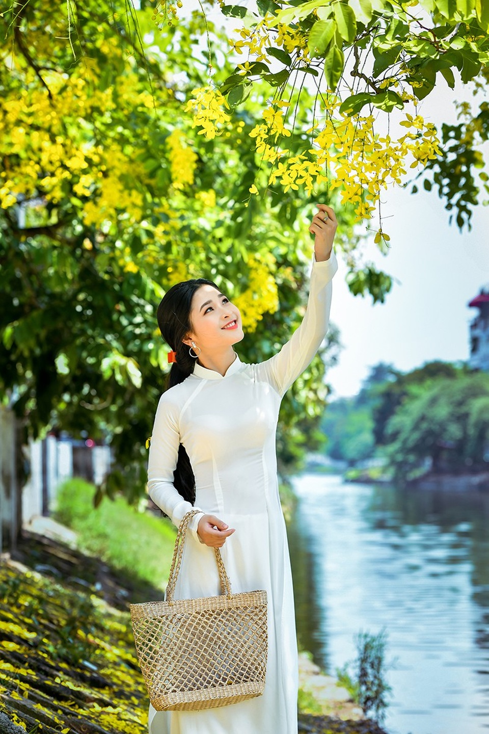 "Hot girl tráng bánh mướt" xứ Nghệ đẹp dịu dàng dưới tán hoàng yến - 4 Vẻ đẹp của cô gái xứ Nghệ như tỏa sáng rực rỡ hơn dưới sắc vàng của hoa hoàng yến.