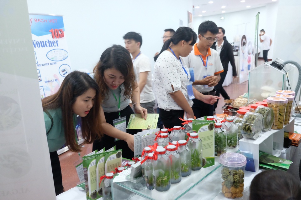 Phát triển đột phá để xây dựng trung tâm khởi nghiệp bên bờ biển của Đà Nẵng - 2 Phát triển đột phá để xây dựng trung tâm khởi nghiệp bên bờ biển của Đà Nẵng - 2