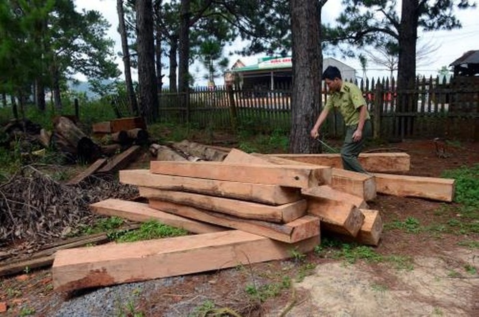 Đắk Nông: Dự án bị thu hồi, công ty vẫn thu tiền khách thăm quan trái phép! - 2 Nhiều cây rừng bị phá nằm trong khu vực thác Lưu Ly